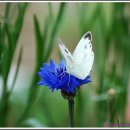 중앙로3가 이미지