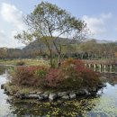 선운사의추억 | [여행][2025.11.09] 전북 고창군 / 선운산도립공원 / 선운사, 도솔암, 용문굴 그리고 천마봉