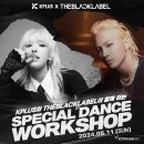 케이플러스 (K플러스)