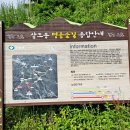 민주지산로 네이버블로그