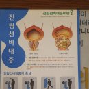 네오비뇨기과의원 | 킹남성의원에서 아들 포경수술 후기_부산비뇨기과_부산비뇨기과추천_연산동비뇨기과_연산동비뇨기과추천...