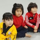 남부초교병설유치원 이미지