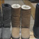 홍대 세탁 이미지