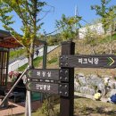 신리공원 이미지