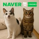 월드모터플러스 | 네이버 펫 바우처 혜택받고 구입한 프로젝트21 고양이 음수대 정수기