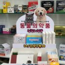 왕온누리약국 이미지