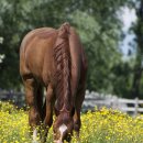 가산컨트리클럽 이미지