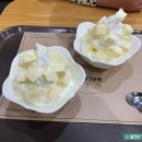 요거프레소병영점 이미지