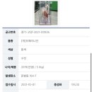 고양시 동물보호센터 이미지