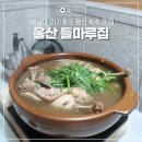 들마루 | 울산 호계 백숙 맛집 초복 복날 가기좋은 들마루집 후기