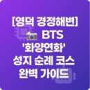 라메르펜션A | [영덕 경정해변] 📸 BTS &#39;화양연화&#39; 성지 순례 코스 완벽 가이드