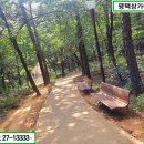 배다리초중통합학교 이미지