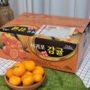 귤탱탱구리 서귀포감귤 달달해