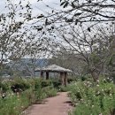 반구정습지 이미지