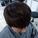 에일린(aileen) 헤어 이미지