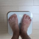 라이프릿지(주) | 매일 5km 러닝 한 달 후기 / 달리기 몸의 변화