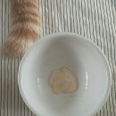 골든캣 | [아이누] ‘골든타임 40분’안에 손질 한 기호성 좋은...고양이 간식 추천 사공스프/사공스틱/사료 후기 ✔️