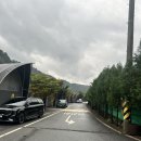 가평) 아이도, 어른도 즐길 수 있는 애견 동반 가능 “가평 아만다 키즈 글램핑” 다녀온 후기