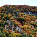 11/1(일)색동저고리 입은 두타산 무릉도원계곡길-베틀바위-쌍폭포 단풍여행 이미지