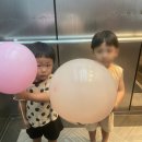 정글팡팡 - 1615 | [안산 선부동] 정글팡팡 키즈카페 실내놀이터 솔직후기! 어른도 아이도 대만족했던 곳
