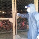 용인양계 이미지