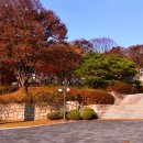 국립청주박물관 이미지