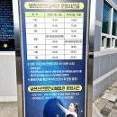 천문전시체험관 | 대구 근교 아이와 가볼 만한 곳, 영천 가볼 만한 곳 [보현산 천문 과학관/보현산 천문 전시체험관] / 영천