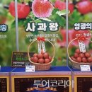 청송이사과