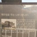 김포평화누리길 3코스 Daum카페