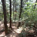 최혼 선생 묘 이미지