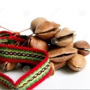 안데스 음악 1 - 서글픈 바람의 노래 이미지