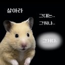 국밥장인 이미지