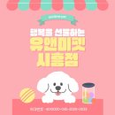 우리들성남점 | 성남랙돌분양 후기, 유앤미펫에서 만난 우리 집 천사