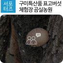 웅곡길 네이버블로그