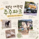 주주애견 - 포천시 구절초로 25 | 평창 대관령 주주파크 동물 먹이체험 아이랑 가볼만한 곳