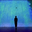 고요정원 이미지