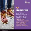 레푸스 경대점 이미지