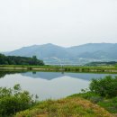 온동농장 이미지