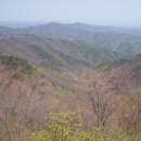 일산초교 이미지