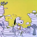 살림선생 이미지