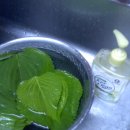 야채랑과일이랑 이미지