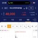 디엔디홀딩스