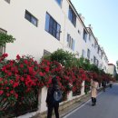 영진궁전 이미지