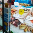 소라랑문어랑 이미지