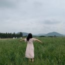 명월팜 이미지