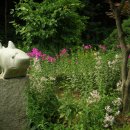 다산농원 이미지