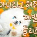 스마일양한방동물병원