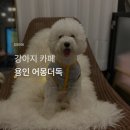 카페어몽 이미지
