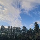 조천농장 이미지