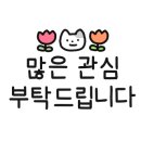 리나베이프 이미지
